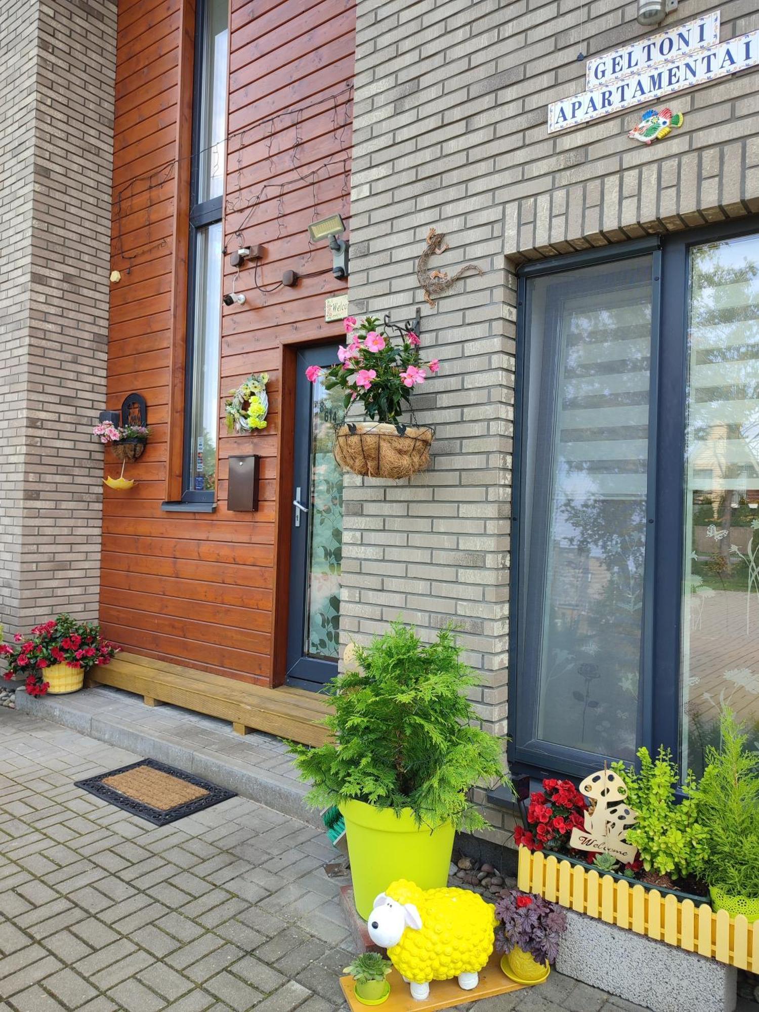 פלאנגה Geltoni Apartamentai מראה חיצוני תמונה